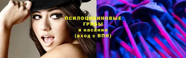 соль курить ск Алексеевка