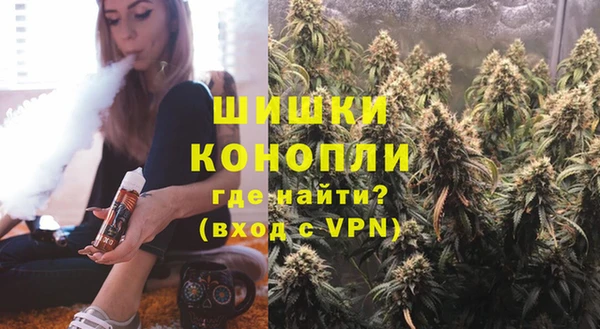 индика Алзамай