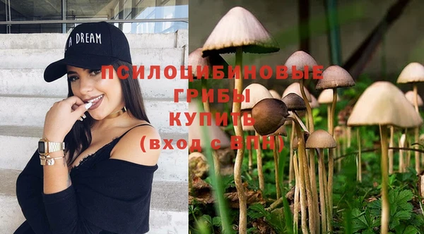 стаф Семикаракорск