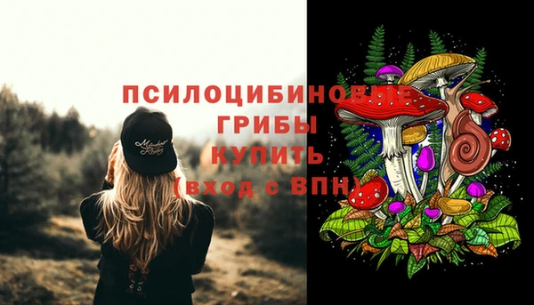 соль курить ск Алексеевка