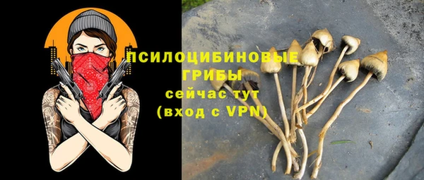соль курить ск Алексеевка
