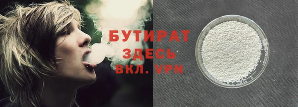 индика Алзамай