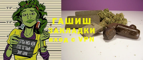индика Алзамай
