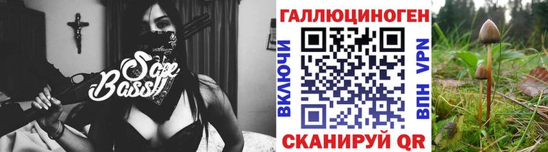 мега ссылка  дарнет шоп  Ивдель  Галлюциногенные грибы Cubensis 